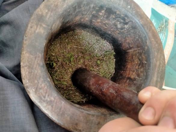 Torosların Tepesinden 1 Bardak Ermenek Dağ Yarpuz Unu,yarpuz Mentha pulegium - 2