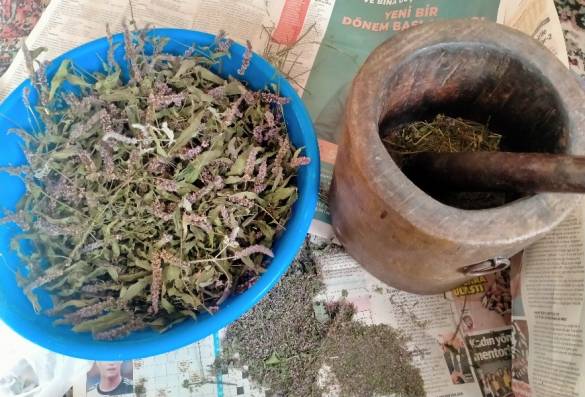 Torosların Tepesinden 1 Bardak Ermenek Dağ Yarpuz Unu,yarpuz Mentha pulegium - 4